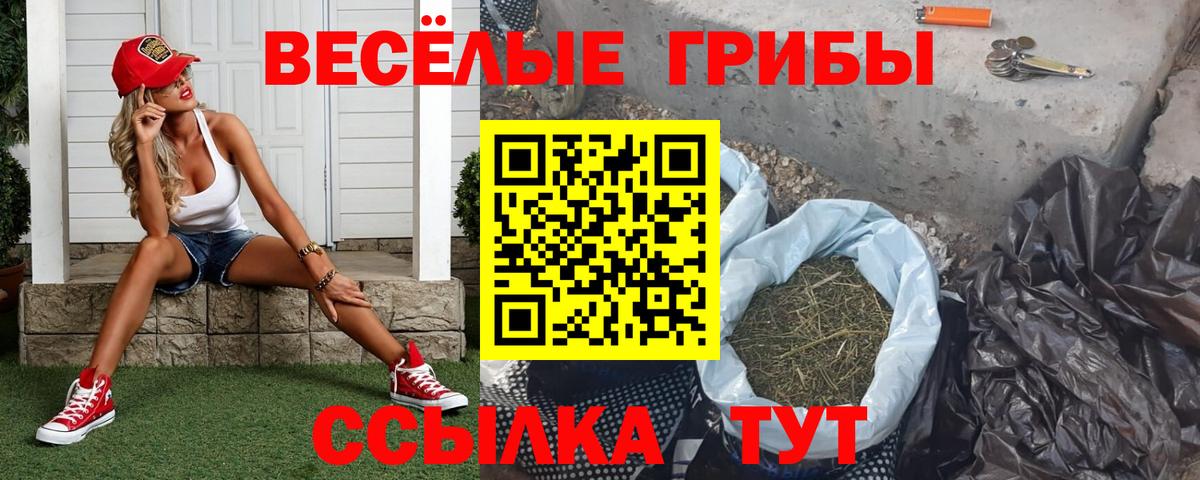 Галлюциногенные грибы мицелий  Вход с VPN  Ростов Великий 